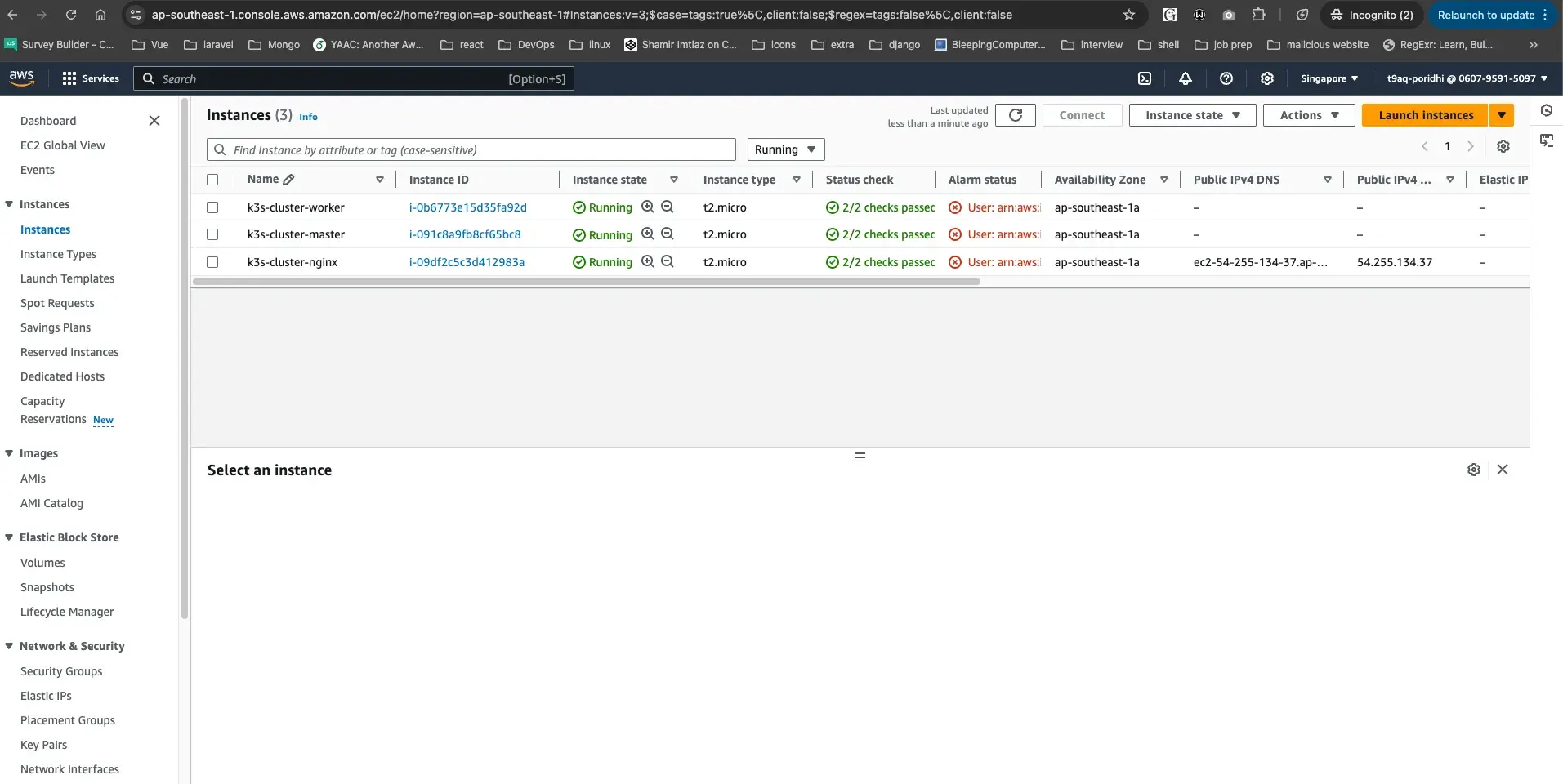 Launched EC2 Instances